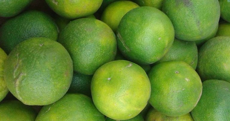 15 تا از خواص لیمو، وقتی آن را صبح و با معده خالی مصرف کنید! - سالم زیبا