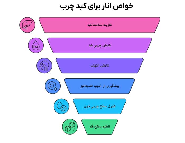 فواید انار برای کبد چرب
