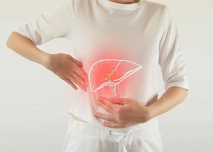 کبد در انسان